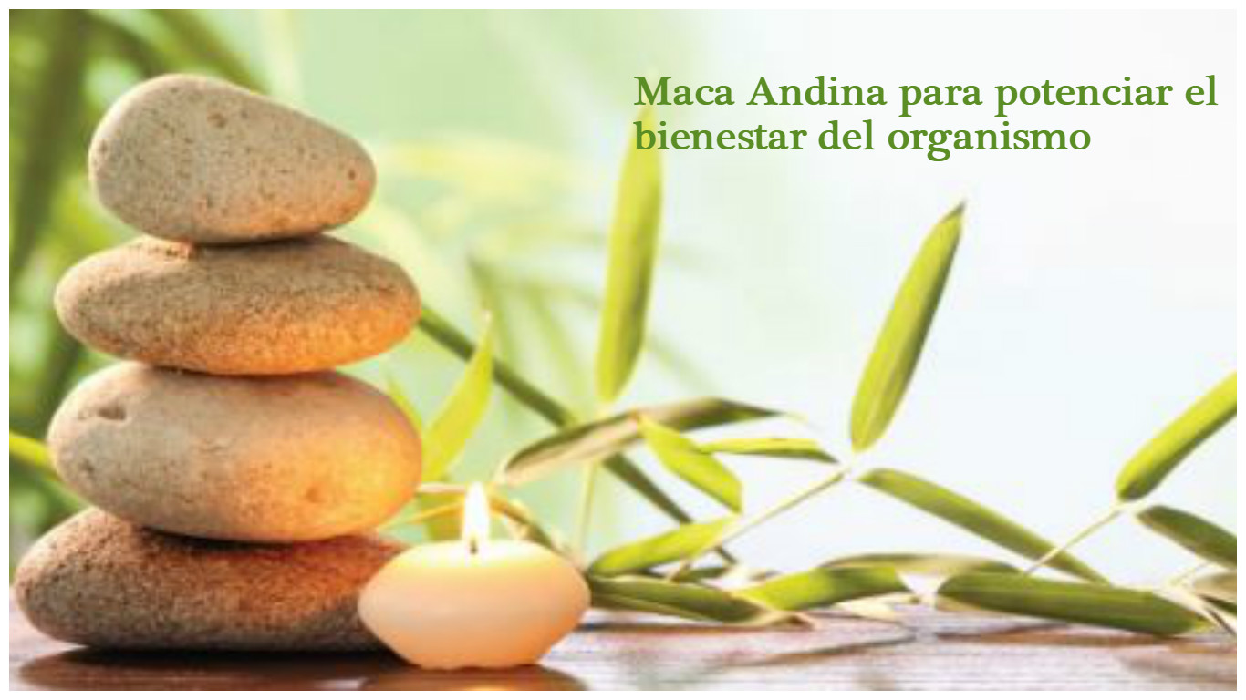 Súper alimento Maca
