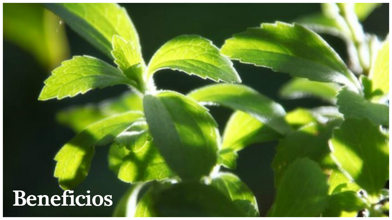 Beneficios para los diabéticos