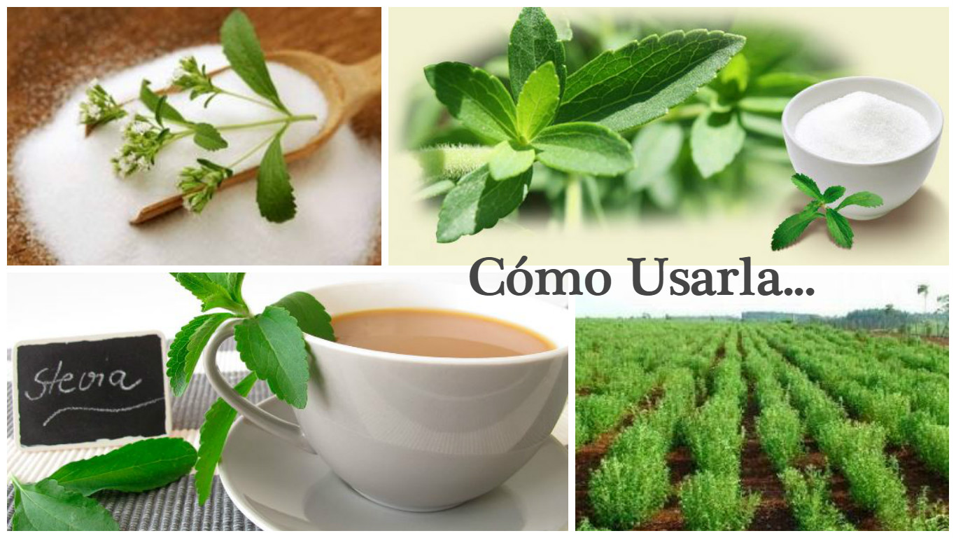 Hierba dulce y edulcorante milagroso