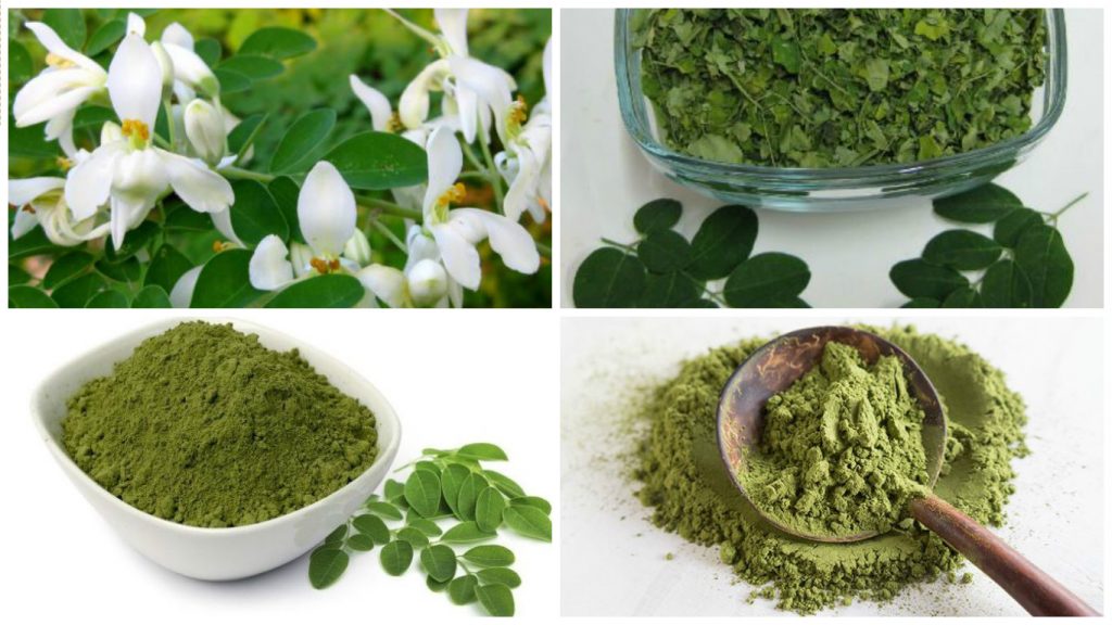 Moringa Oleifera - Sus 27 Propiedades y Beneficios Increíbles【2019】