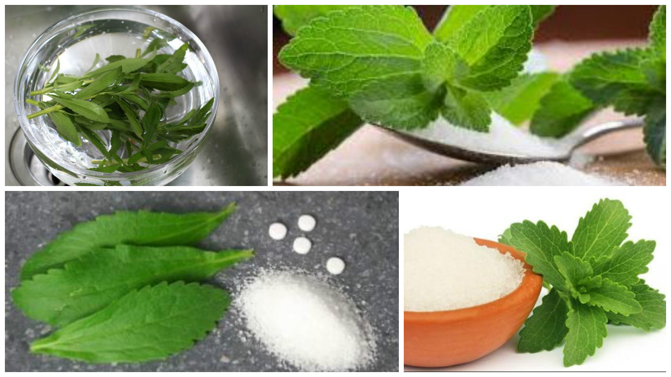 stevia propiedades medicinales