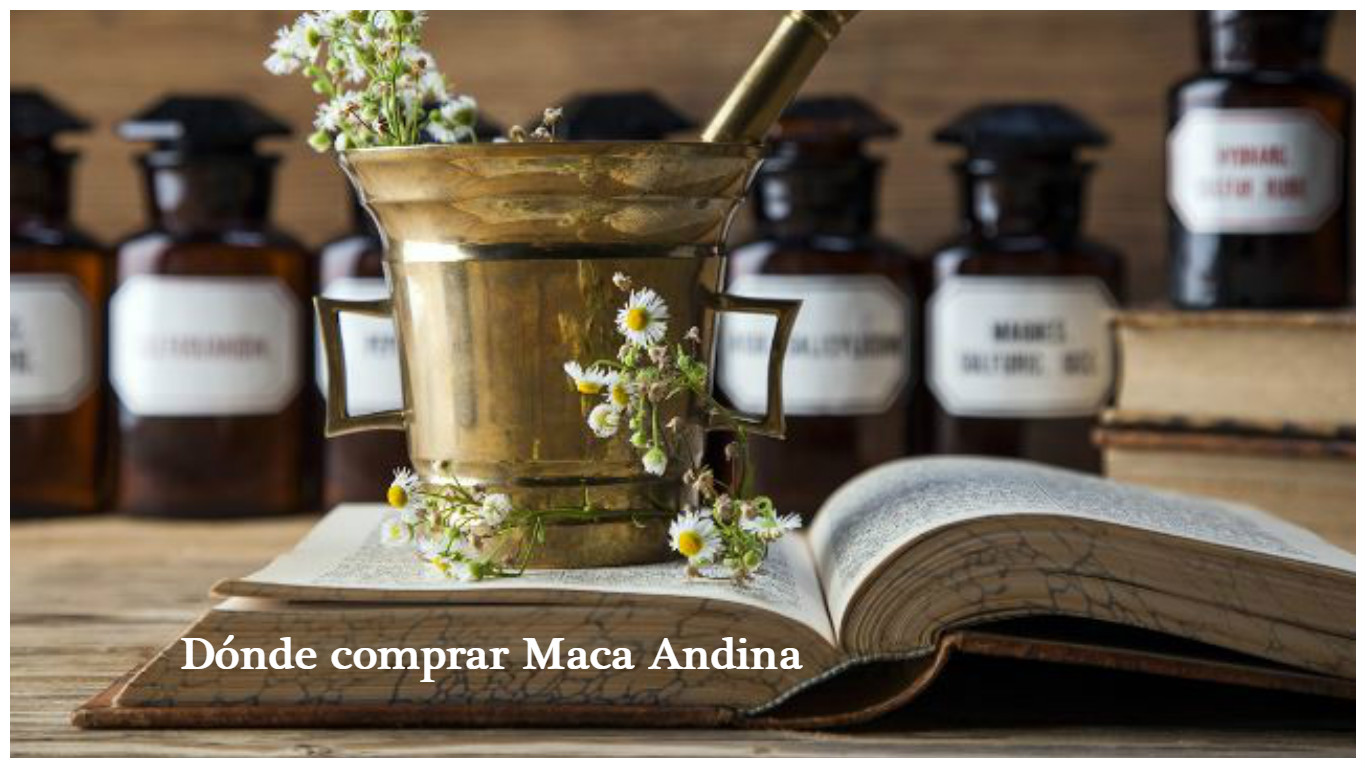 Dónde comprar maca andina