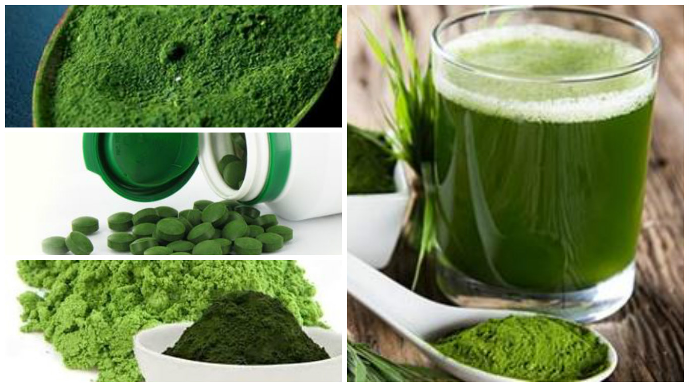 Dónde comprar chlorella