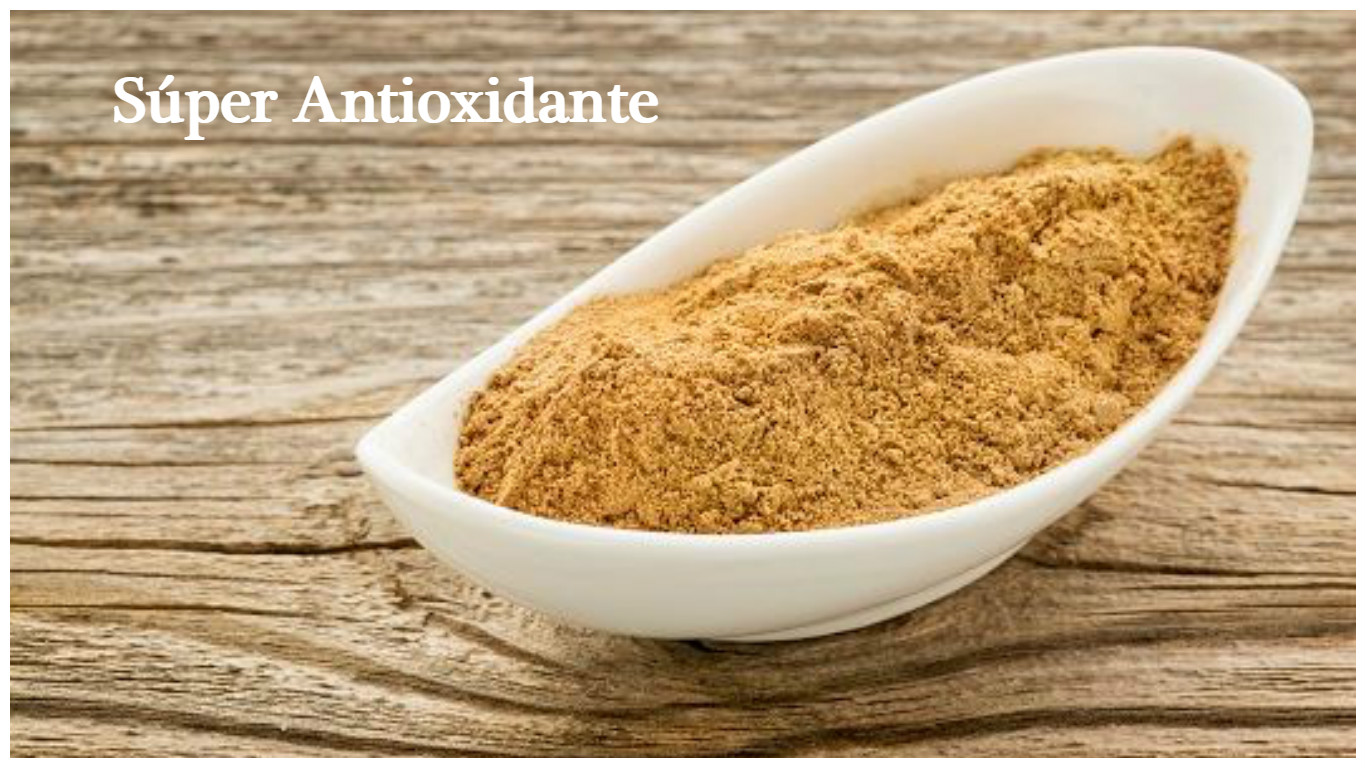 Antioxidante con gran poder