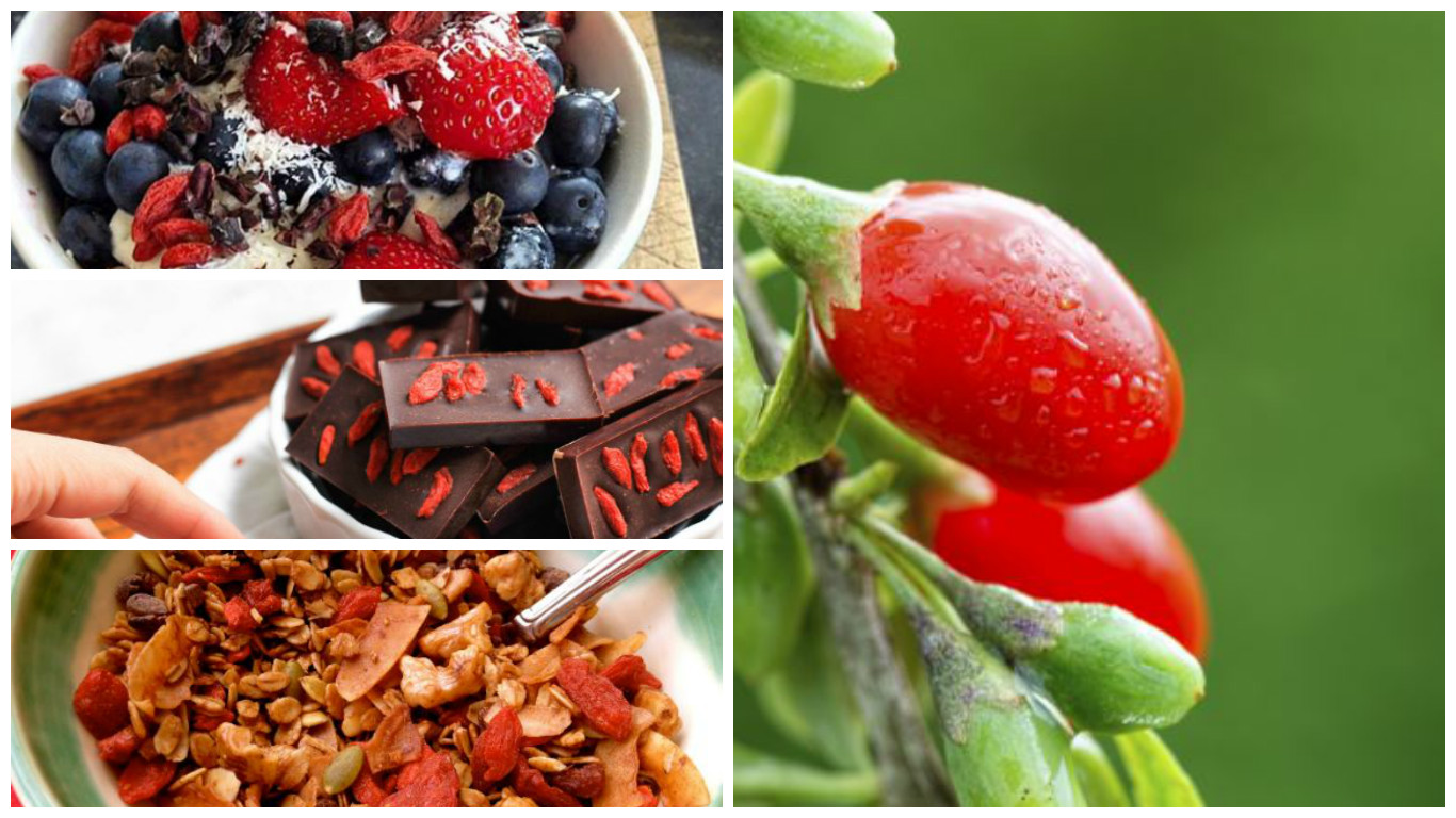 ¿Cuáles son los beneficios de las bayas des goji?