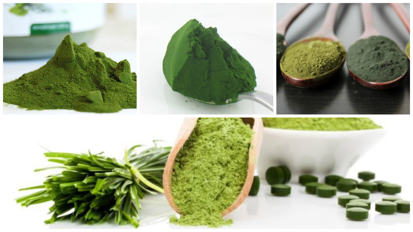 Algas Chlorella Vulgaris
