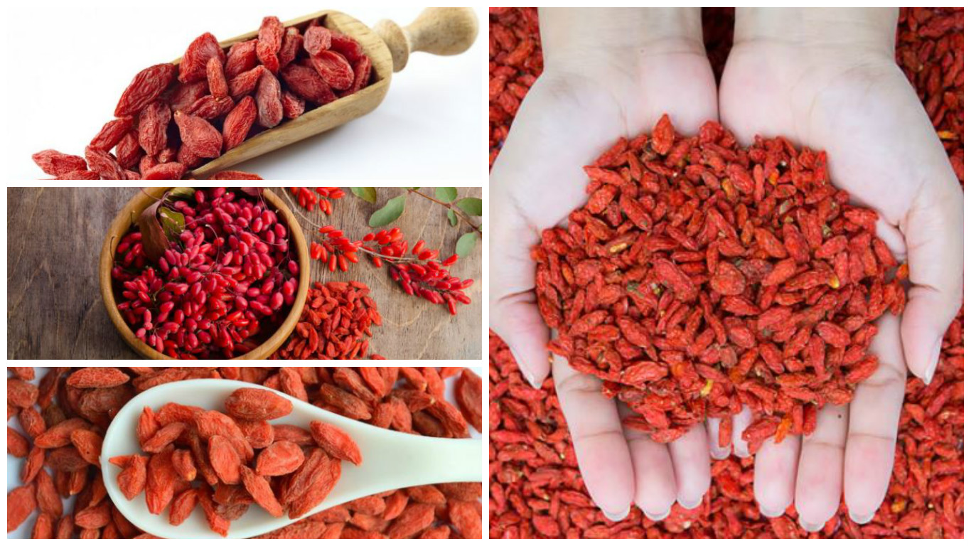 Cómo tomar bayas de goji