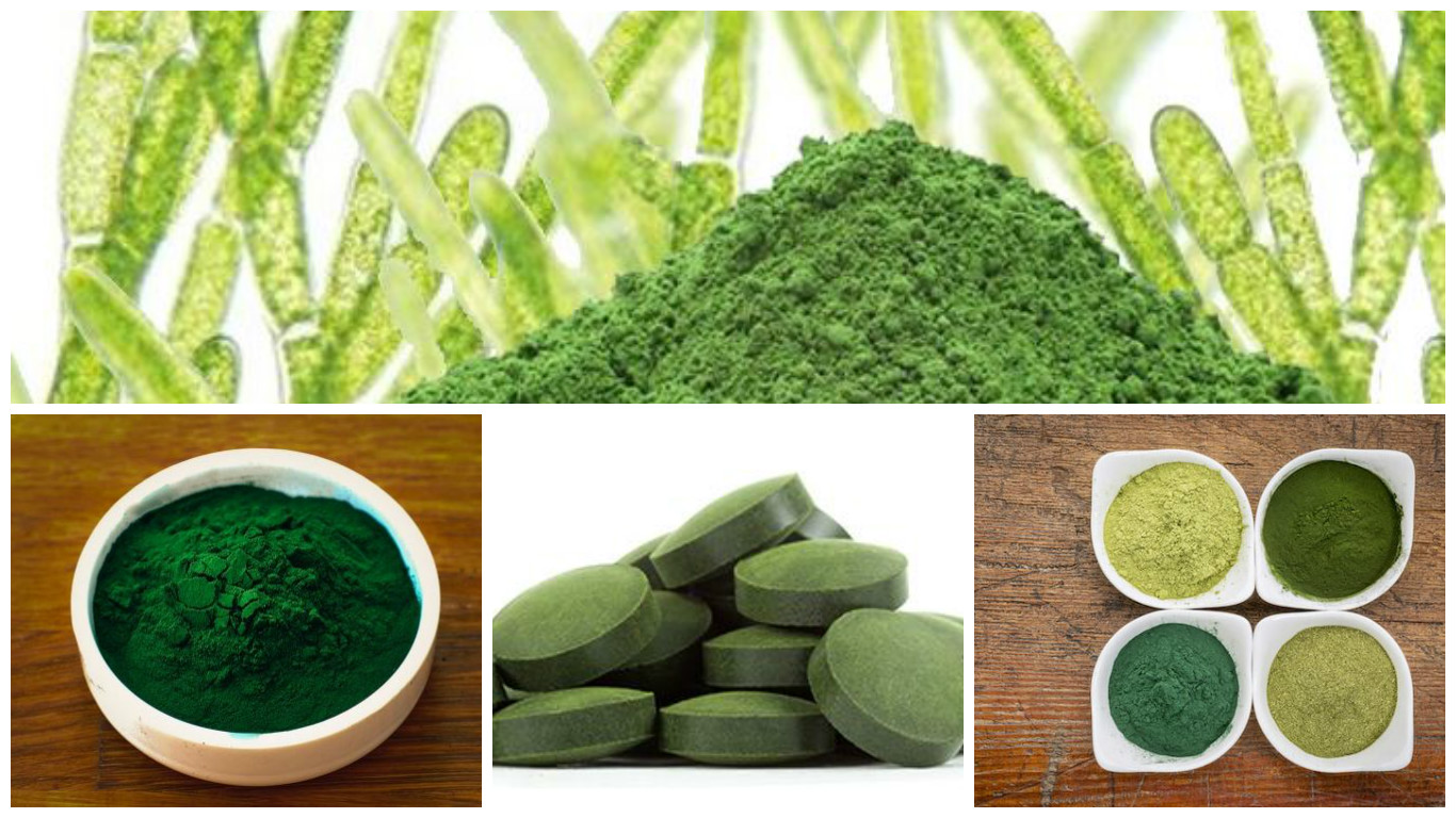 Contraindicaciones de la chlorella