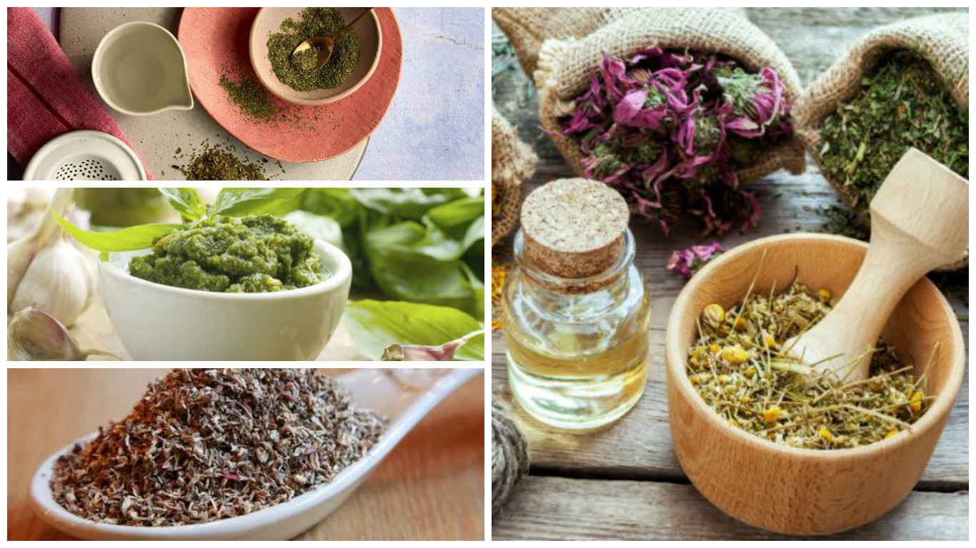 Contraindicaciones de la equinácea