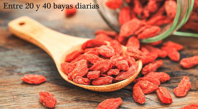 Dosis recomendada diaria de bayas de goji