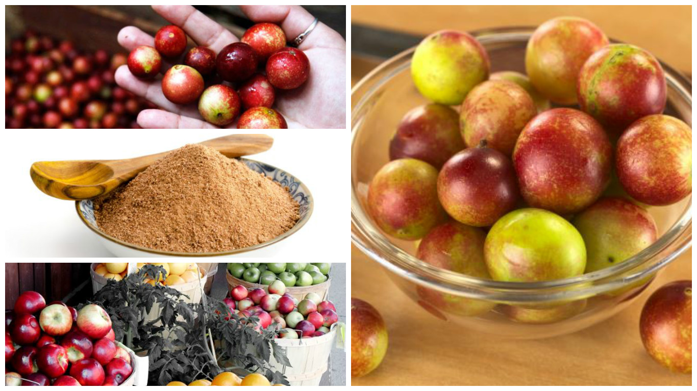 ¿Para qué sirve el camu camu?