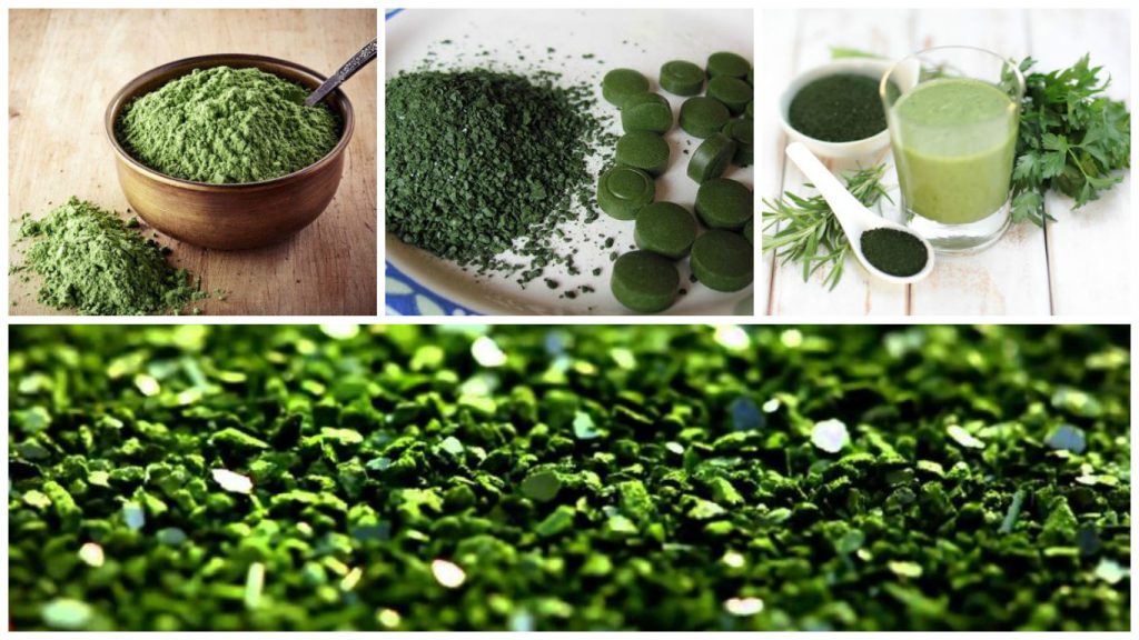 Chlorella (Alga) Propiedades, Beneficios y Cómo Tomarla Bien【2019】