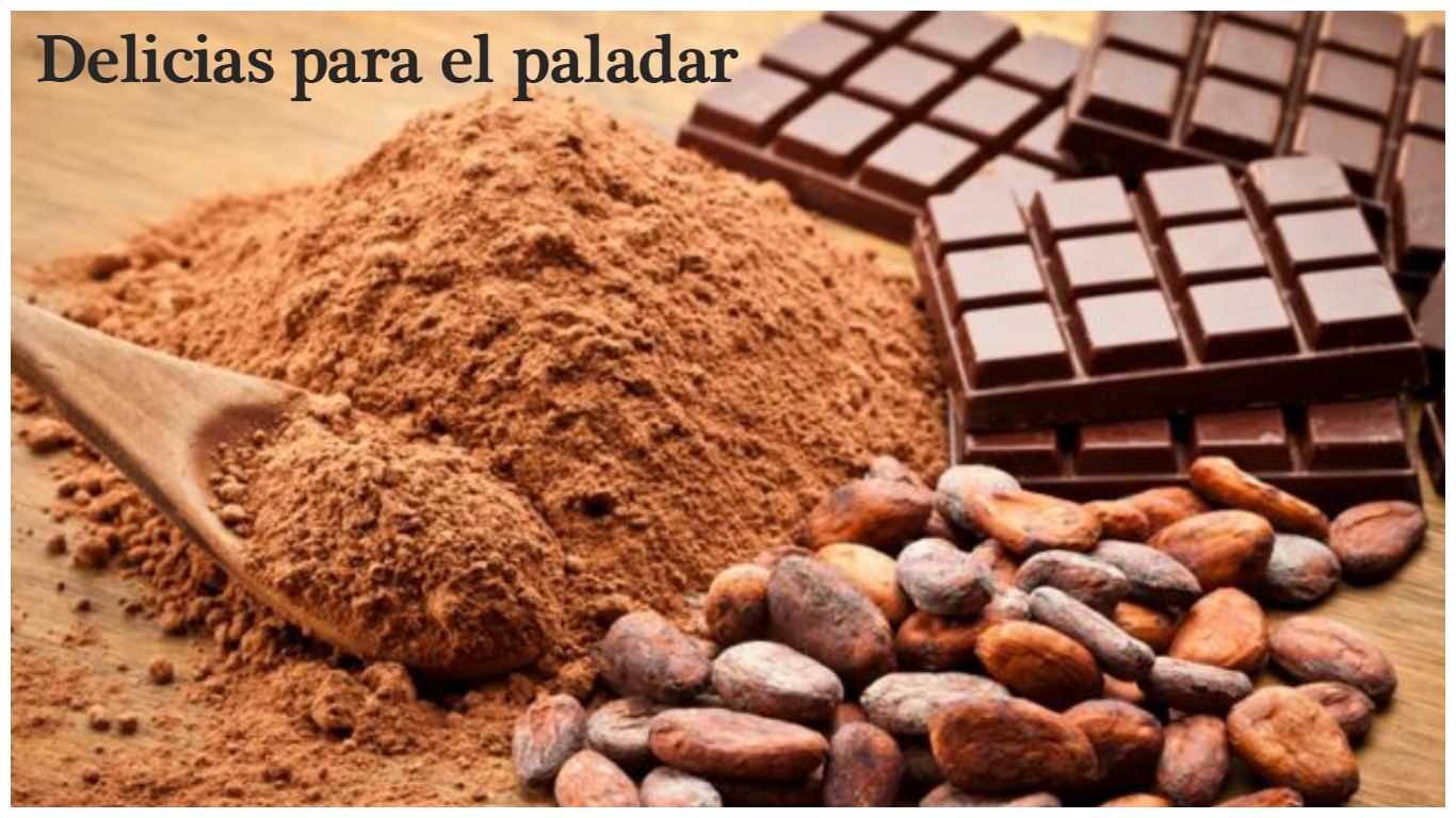 Recetas con cacao en casa Autentica delicia alimenticia