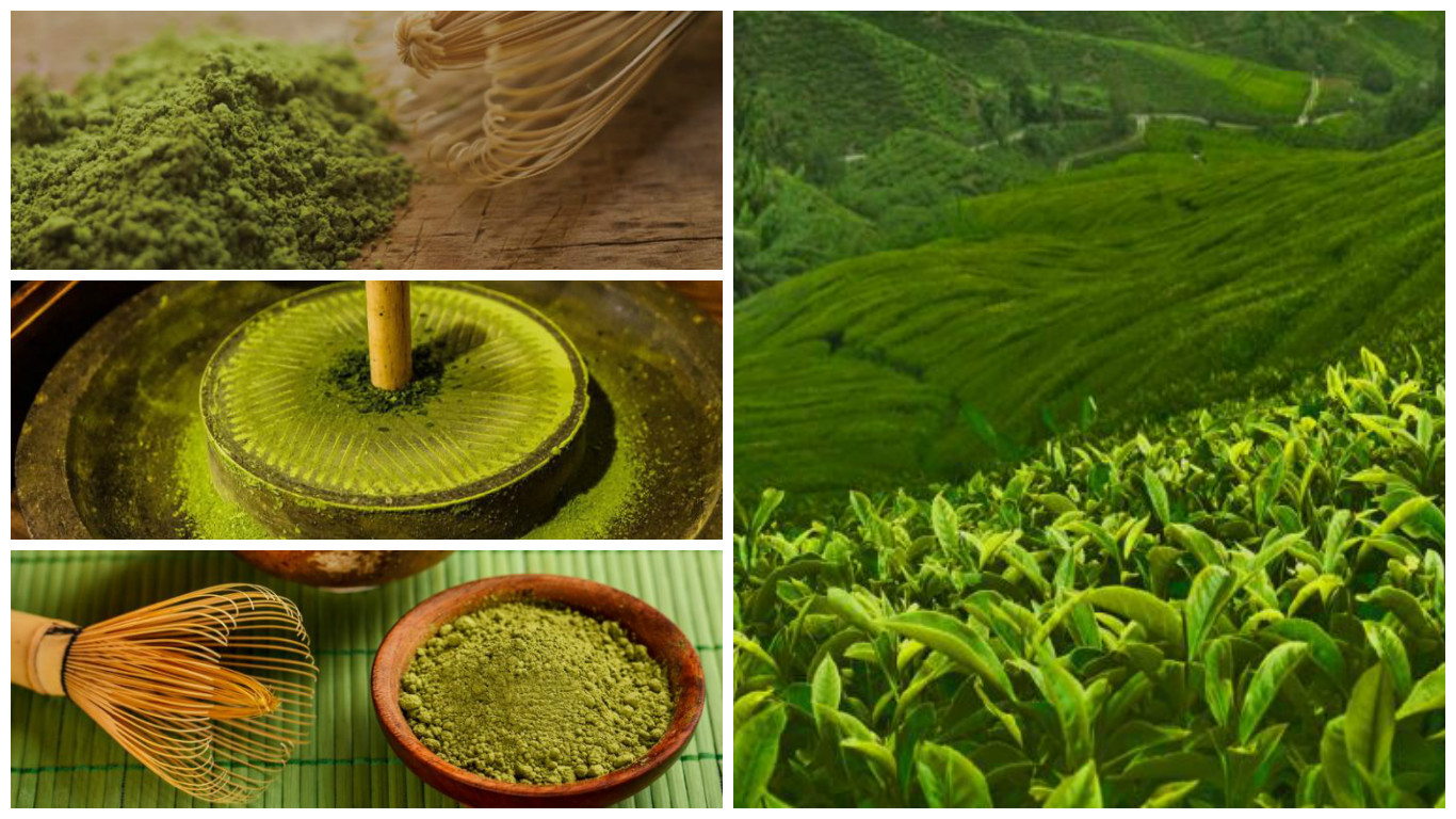 Dónde comprar té matcha