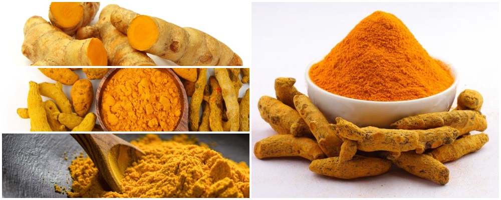 Planta que da sabor a los alimentos