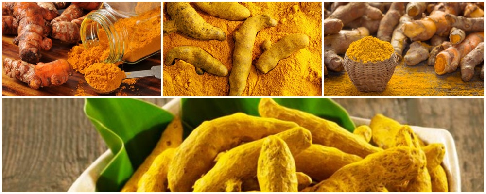 ¿Qué es la cúrcuma?