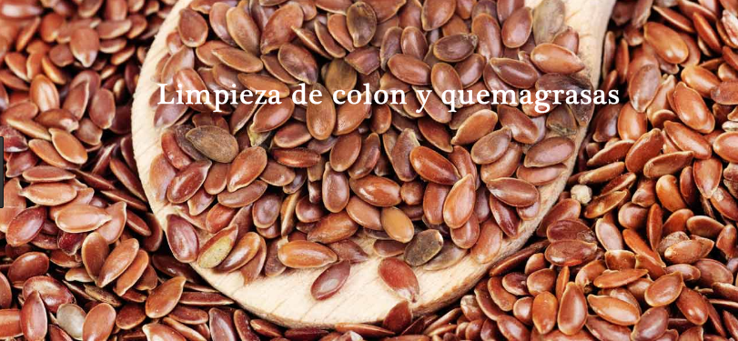 Potente anticancerígeno y rico en fibra