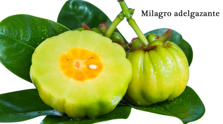 Gran aliado de las dietas adelgazantes