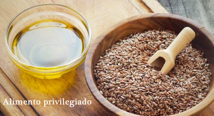 ¿Para qué sirven las semillas?