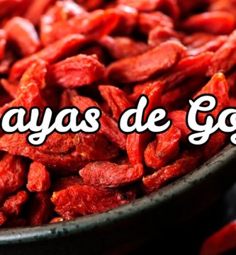 bayas de goji
