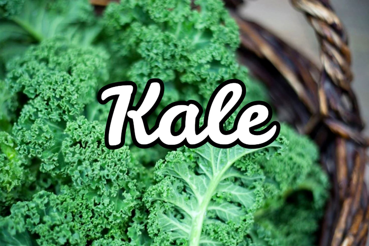 Kale o Col Rizada Beneficios y Propiedades de la verdura【2019】