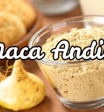 Maca andina
